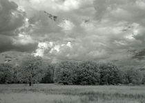 DSCN2592 copy  Storm Clouds #2 : NJ, Landscapes, Infrared, 1-Star